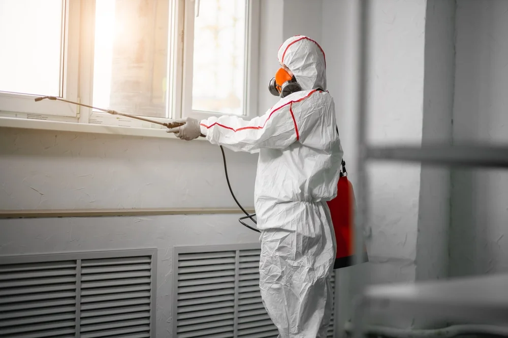 Professional mold remediation services in Jemez Pueblo, NM